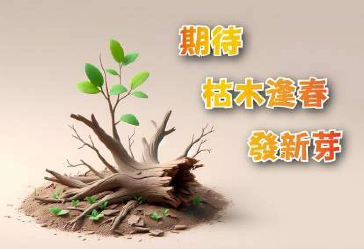 期待枯木逢春發新芽