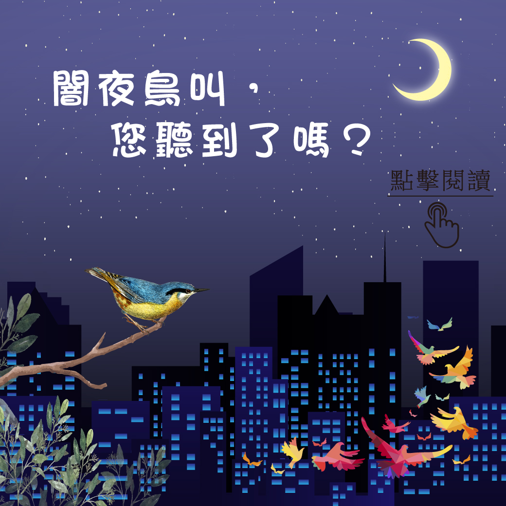 闇夜鳥叫，您聽到了嗎？